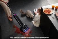 Steam Cleaner