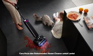 Steam Cleaner