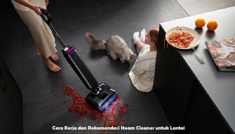 Steam Cleaner