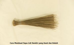 Sapu Lidi