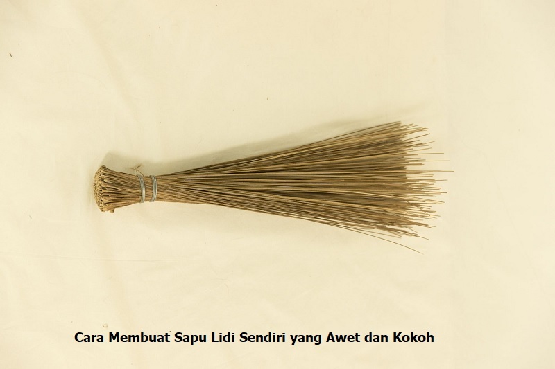 Sapu Lidi