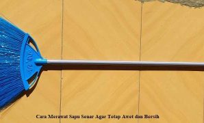 Sapu Senar