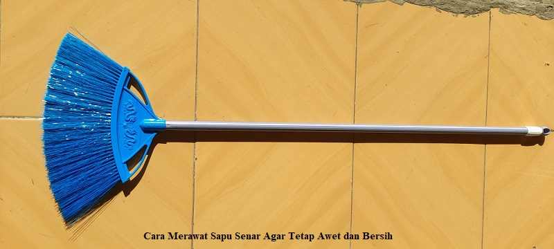 Sapu Senar