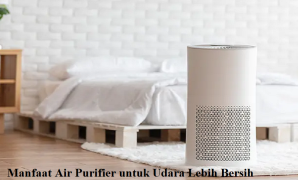 Air Purifier