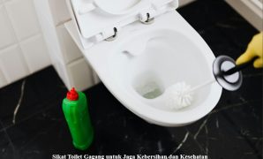 Sikat Toilet Gagang