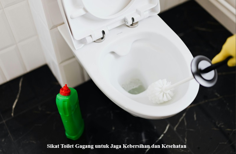 Sikat Toilet Gagang